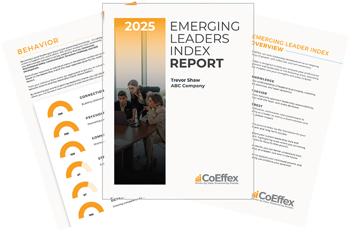 Emerging leaders report